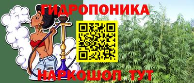 ешки Будённовск