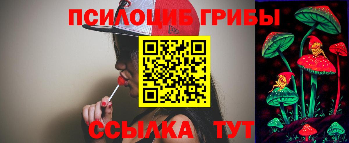 Галлюциногенные грибы ЛСД  Псилоцибиновые грибы Cubensis  Артём 